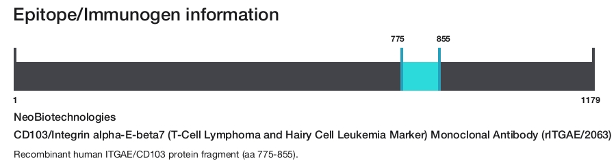 CD103/Integrin alpha-E-beta7 (T-Cell Lymphoma and Hairy Cell Leukemia Marker) Monoclonal Antibody (rITGAE/2063)