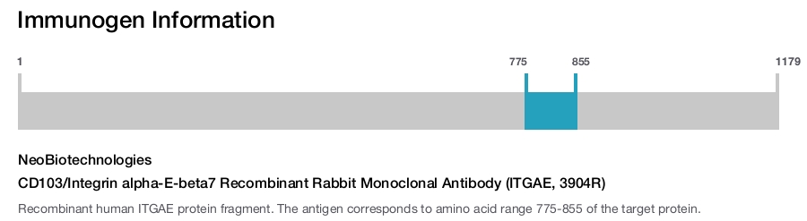 CD103/Integrin alpha-E-beta7 Recombinant Rabbit Monoclonal Antibody (ITGAE, 3904R)