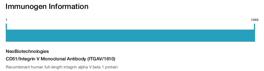 CD51/Integrin V Monoclonal Antibody (ITGAV/1610)