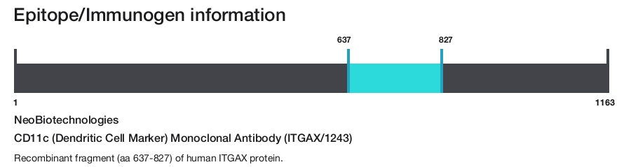 CD11c (Dendritic Cell Marker) Monoclonal Antibody (ITGAX/1243)