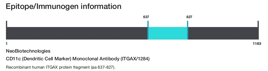 CD11c (Dendritic Cell Marker) Monoclonal Antibody (ITGAX/1284)