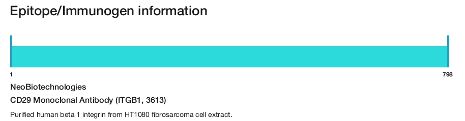 CD29 Monoclonal Antibody (ITGB1, 3613)