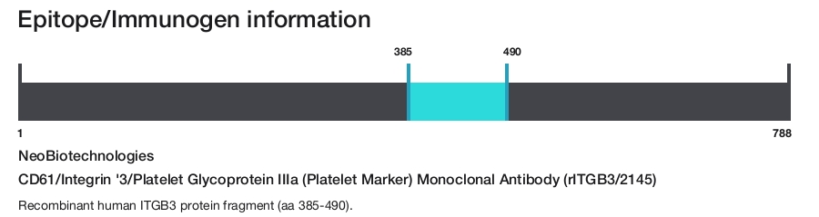 CD61/Integrin '3/Platelet Glycoprotein IIIa (Platelet Marker) Monoclonal Antibody (rITGB3/2145)