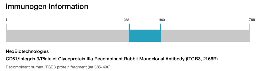 CD61/Integrin 3/Platelet Glycoprotein IIIa Recombinant Rabbit Monoclonal Antibody (ITGB3, 2166R)