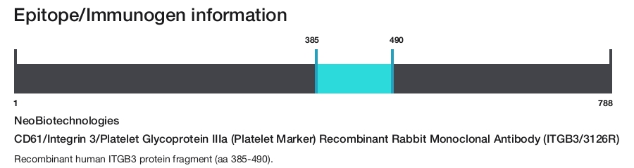 CD61/Integrin 3/Platelet Glycoprotein IIIa (Platelet Marker) Recombinant Rabbit Monoclonal Antibody (ITGB3/3126R)