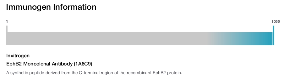 EphB2 Monoclonal Antibody (1A6C9)