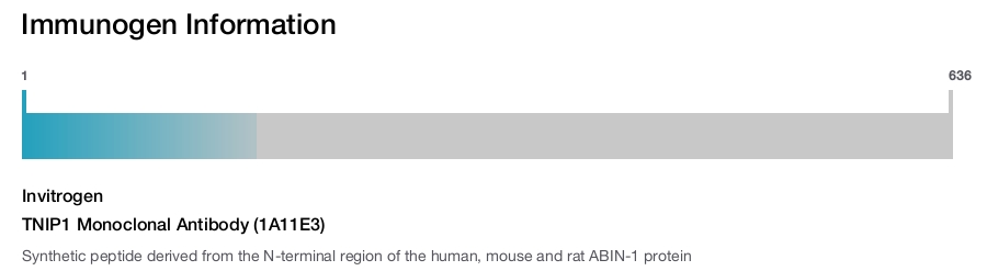 TNIP1 Monoclonal Antibody (1A11E3)