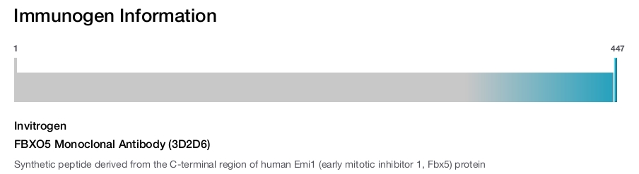 FBXO5 Monoclonal Antibody (3D2D6)