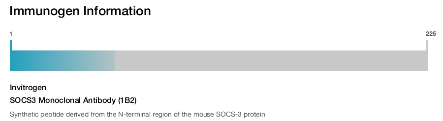 SOCS3 Monoclonal Antibody (1B2)