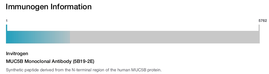 MUC5B Monoclonal Antibody (5B19-2E)