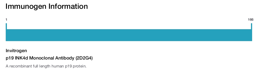 p19 INK4d Monoclonal Antibody (2D2G4)