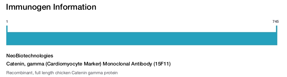 Catenin, gamma (Cardiomyocyte Marker) Monoclonal Antibody (15F11)