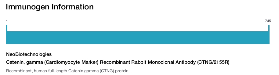 Catenin, gamma (Cardiomyocyte Marker) Recombinant Rabbit Monoclonal Antibody (CTNG/2155R)