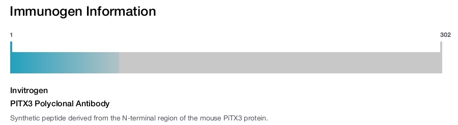 PITX3 Polyclonal Antibody