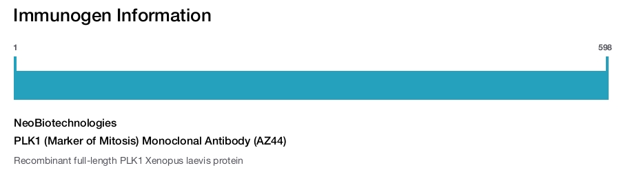 PLK1 (Marker of Mitosis) Monoclonal Antibody (AZ44)