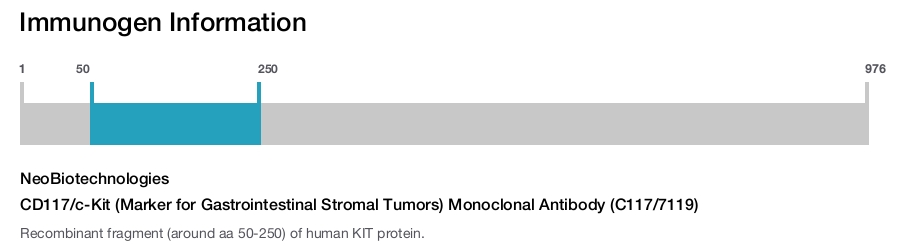 CD117/c-Kit (Marker for Gastrointestinal Stromal Tumors) Monoclonal Antibody (C117/7119)