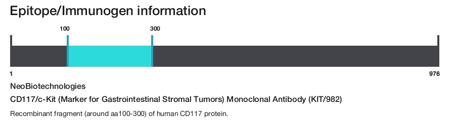 CD117/c-Kit (Marker for Gastrointestinal Stromal Tumors) Monoclonal Antibody (KIT/982)