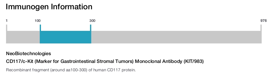 CD117/c-Kit (Marker for Gastrointestinal Stromal Tumors) Monoclonal Antibody (KIT/983)