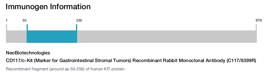 CD117/c-Kit (Marker for Gastrointestinal Stromal Tumors) Recombinant Rabbit Monoclonal Antibody (C117/8399R)