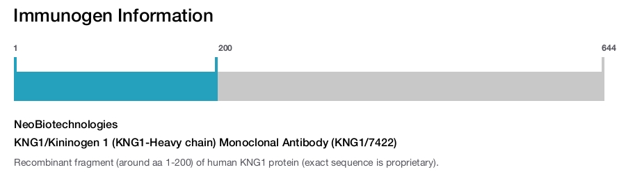 KNG1/Kininogen 1 (KNG1-Heavy chain) Monoclonal Antibody (KNG1/7422)