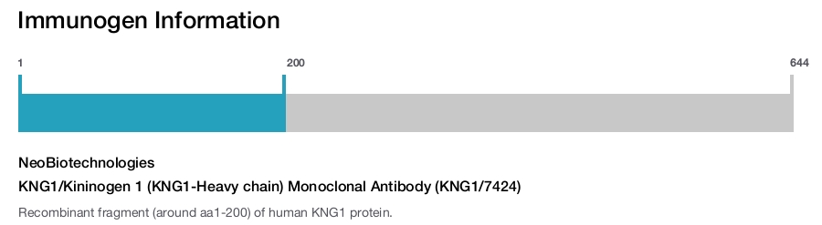 KNG1/Kininogen 1 (KNG1-Heavy chain) Monoclonal Antibody (KNG1/7424)