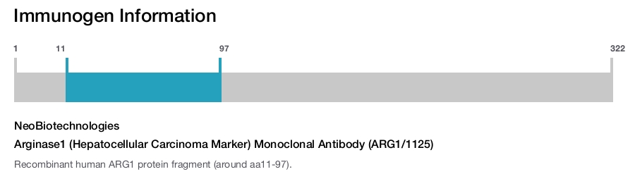 Arginase1 (Hepatocellular Carcinoma Marker) Monoclonal Antibody (ARG1/1125)
