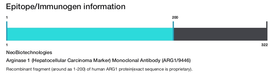 Arginase 1 (Hepatocellular Carcinoma Marker) Monoclonal Antibody (ARG1/9446)
