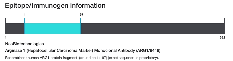 Arginase 1 (Hepatocellular Carcinoma Marker) Monoclonal Antibody (ARG1/9448)