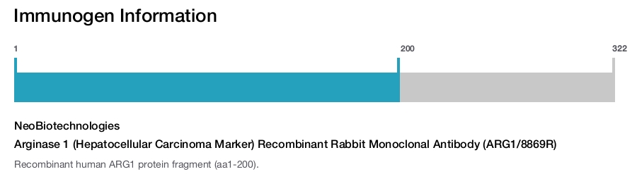 Arginase 1 (Hepatocellular Carcinoma Marker) Recombinant Rabbit Monoclonal Antibody (ARG1/8869R)