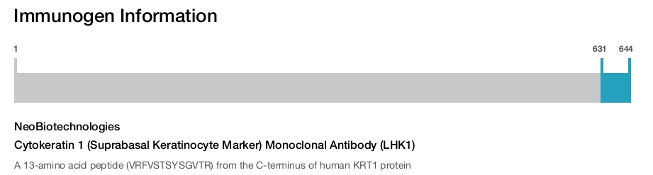 Cytokeratin 1 (Suprabasal Keratinocyte Marker) Monoclonal Antibody (LHK1)