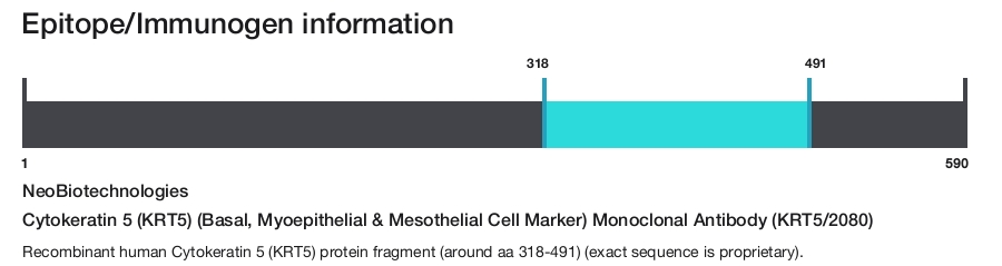 Cytokeratin 5 (KRT5) (Basal, Myoepithelial & Mesothelial Cell Marker) Monoclonal Antibody (KRT5/2080)
