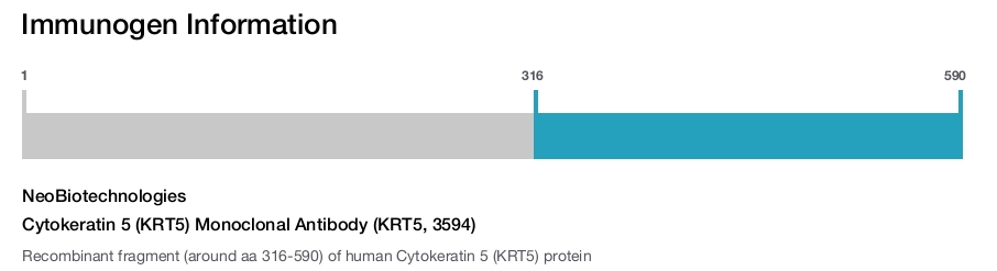 Cytokeratin 5 (KRT5) Monoclonal Antibody (KRT5, 3594)