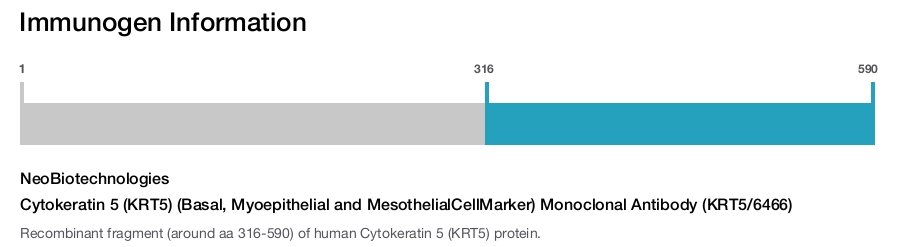 Cytokeratin 5 (KRT5) (Basal, Myoepithelial and MesothelialCellMarker) Monoclonal Antibody (KRT5/6466)