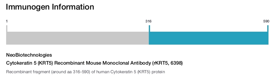 Cytokeratin 5 (KRT5) Recombinant Mouse Monoclonal Antibody (rKRT5, 6398)