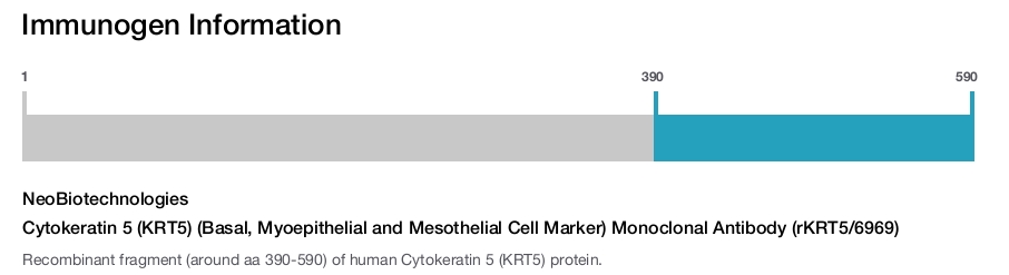 Cytokeratin 5 (KRT5) (Basal, Myoepithelial and Mesothelial Cell Marker) Monoclonal Antibody (rKRT5/6969)