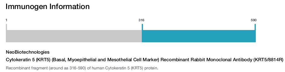 Cytokeratin 5 (KRT5) (Basal, Myoepithelial and Mesothelial Cell Marker) Recombinant Rabbit Monoclonal Antibody (KRT5/8814R)