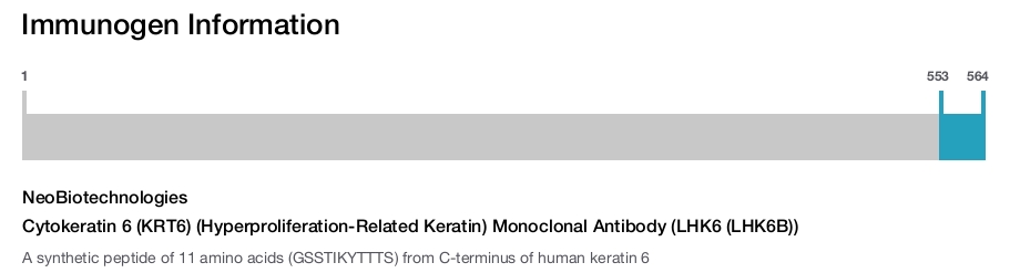 Cytokeratin 6 (KRT6) (Hyperproliferation-Related Keratin) Monoclonal Antibody (LHK6 (LHK6B))