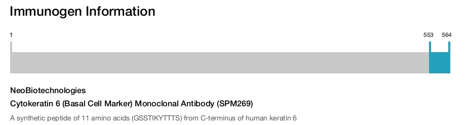 Cytokeratin 6 (Basal Cell Marker) Monoclonal Antibody (SPM269)