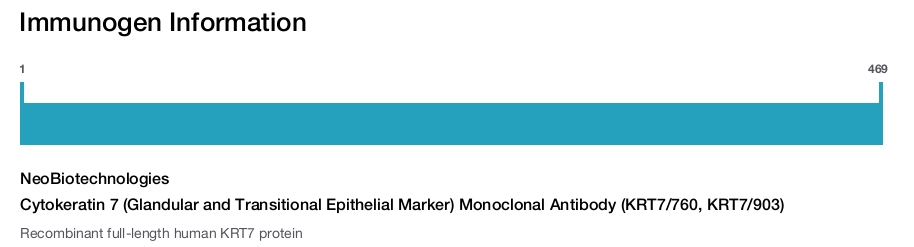 Cytokeratin 7 (Glandular and Transitional Epithelial Marker) Monoclonal Antibody (KRT7/760, KRT7/903)