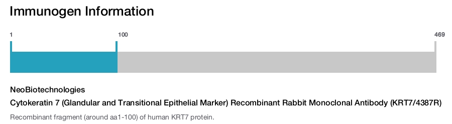 Cytokeratin 7 (Glandular and Transitional Epithelial Marker) Recombinant Rabbit Monoclonal Antibody (KRT7/4387R)