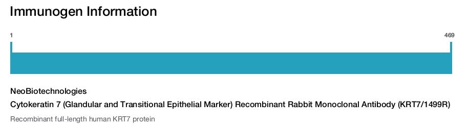 Cytokeratin 7 (Glandular and Transitional Epithelial Marker) Recombinant Rabbit Monoclonal Antibody (KRT7/1499R)