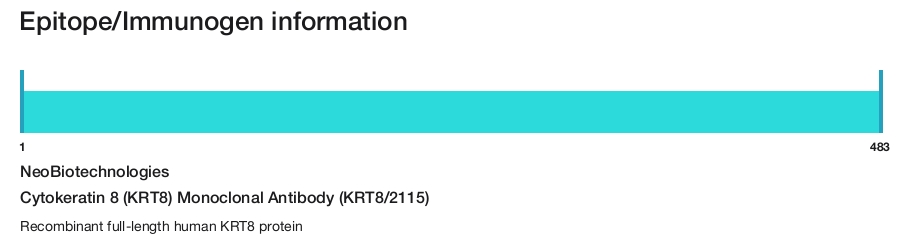 Cytokeratin 8 (KRT8) Monoclonal Antibody (KRT8/2115)
