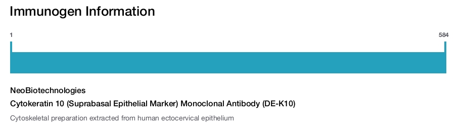Cytokeratin 10 (Suprabasal Epithelial Marker) Monoclonal Antibody (DE-K10)