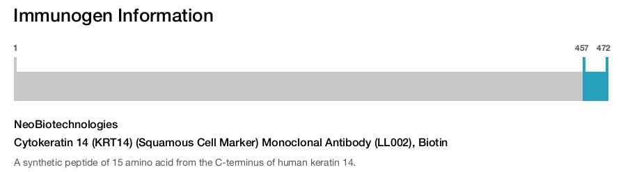 Cytokeratin 14 (KRT14) (Squamous Cell Marker) Monoclonal Antibody (LL002), Biotin