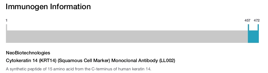 Cytokeratin 14 (KRT14) (Squamous Cell Marker) Monoclonal Antibody (LL002)
