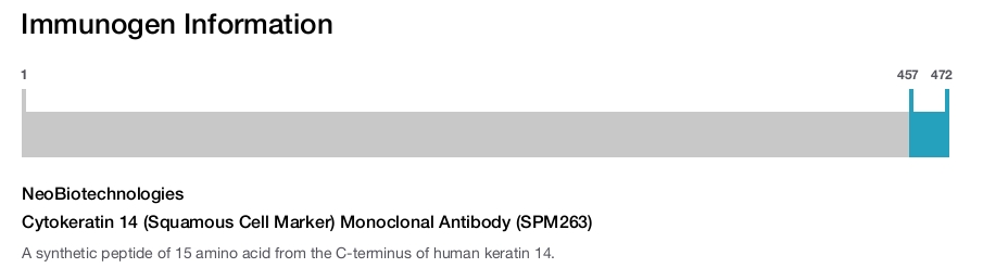 Cytokeratin 14 (Squamous Cell Marker) Monoclonal Antibody (SPM263)