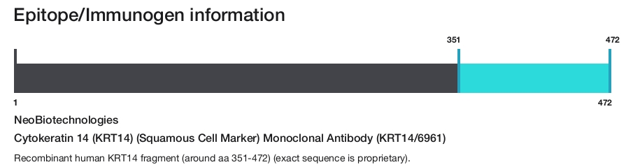 Cytokeratin 14 (KRT14) (Squamous Cell Marker) Monoclonal Antibody (KRT14/6961)