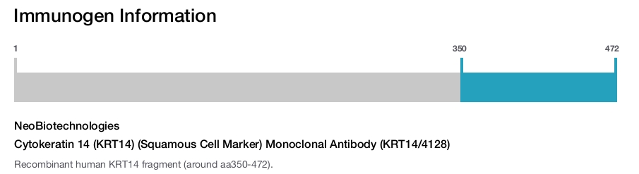 Cytokeratin 14 (KRT14) (Squamous Cell Marker) Monoclonal Antibody (KRT14/4128)