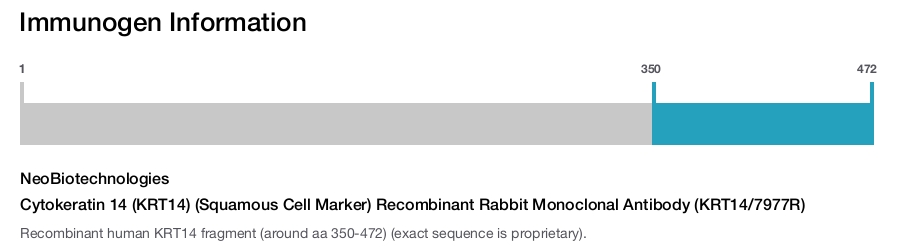 Cytokeratin 14 (KRT14) (Squamous Cell Marker) Recombinant Rabbit Monoclonal Antibody (KRT14/7977R)