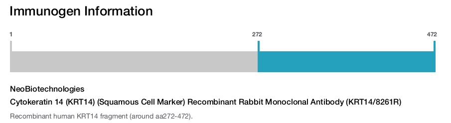 Cytokeratin 14 (KRT14) (Squamous Cell Marker) Recombinant Rabbit Monoclonal Antibody (KRT14/8261R)